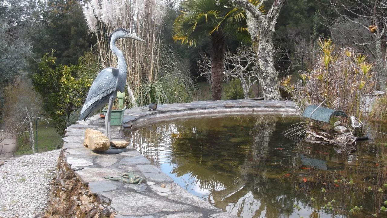 דירות אוליביירה דו הוספיטל Quinta Campo Bravo מראה חיצוני תמונה