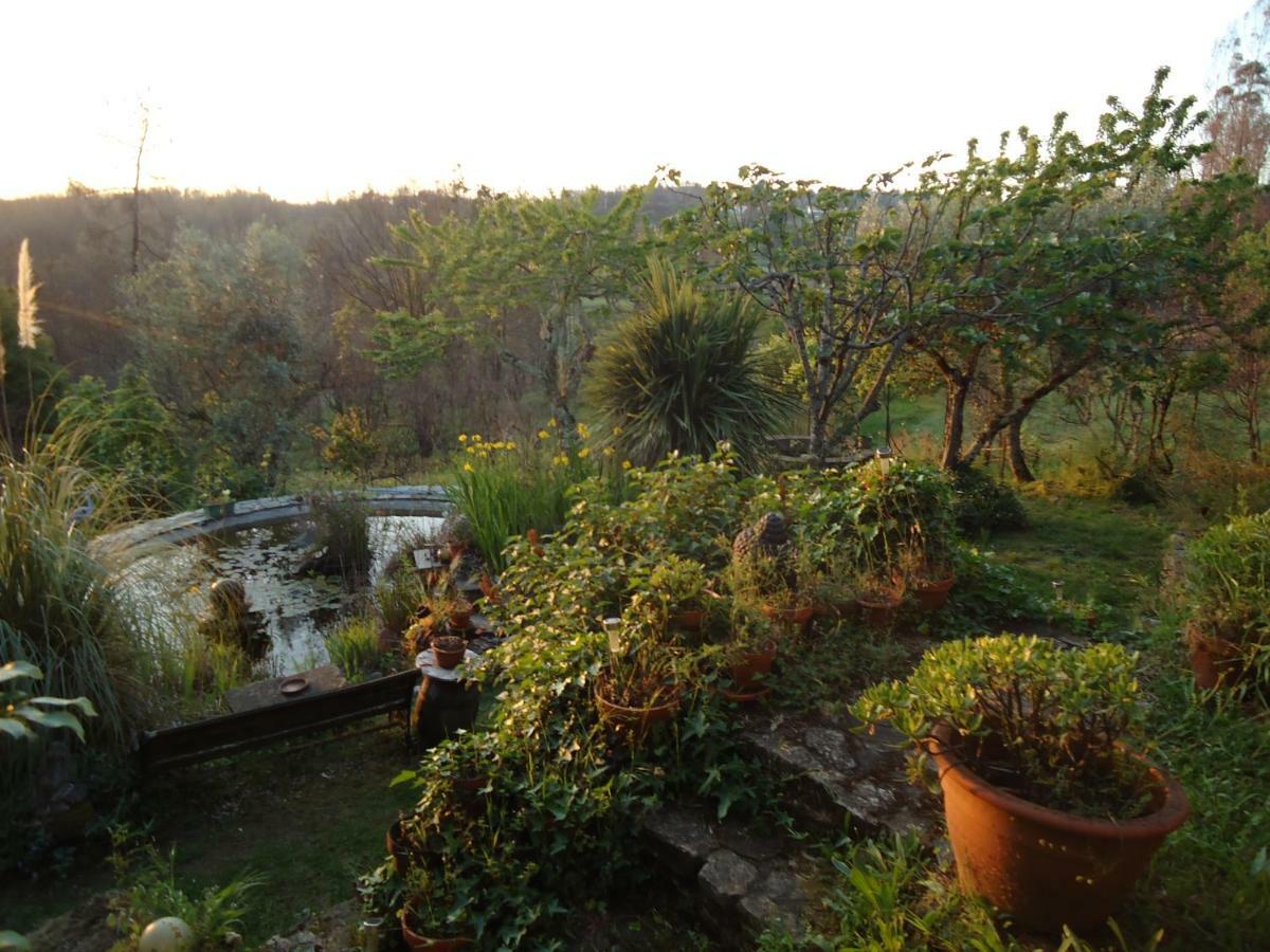 דירות אוליביירה דו הוספיטל Quinta Campo Bravo מראה חיצוני תמונה